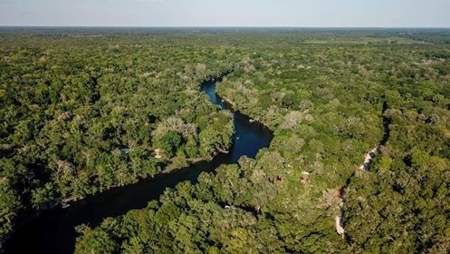 Santa Fe River Waterfront Home! - image 36
