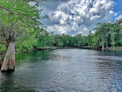 Santa Fe River Waterfront Home! - image 37