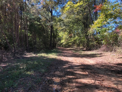 Recreational Land for Sale on Ouachita River near Camden, AR - image 1