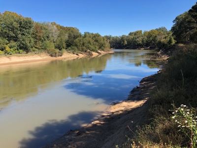 Recreational Land for Sale on Ouachita River near Camden, AR - image 2