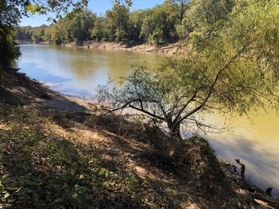 Recreational Land for Sale on Ouachita River near Camden, AR - image 4