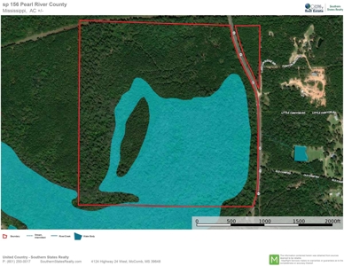 156 Acres Land for Sale in Pearl River County, MS - image 48