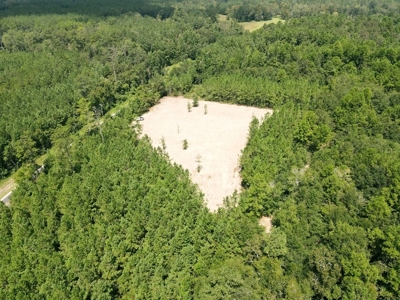 156 Acres Land for Sale in Pearl River County, MS - image 2