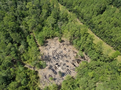 156 Acres Land for Sale in Pearl River County, MS - image 20