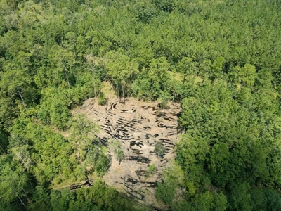 156 Acres Land for Sale in Pearl River County, MS - image 4