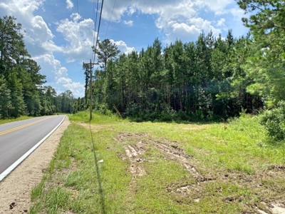 156 Acres Land for Sale in Pearl River County, MS - image 29