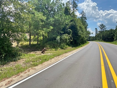 156 Acres Land for Sale in Pearl River County, MS - image 28