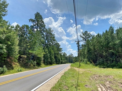 156 Acres Land for Sale in Pearl River County, MS - image 30