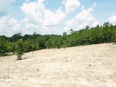 156 Acres Land for Sale in Pearl River County, MS - image 3