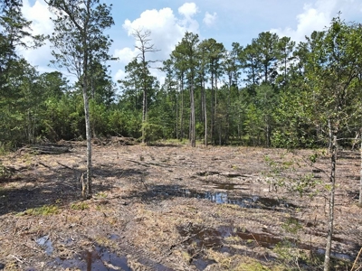 156 Acres Land for Sale in Pearl River County, MS - image 24