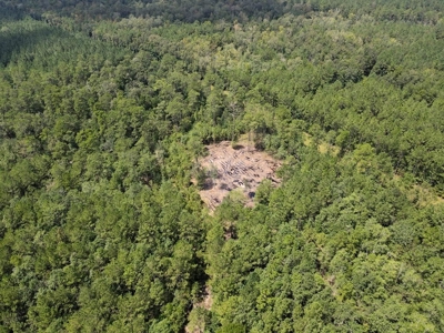 156 Acres Land for Sale in Pearl River County, MS - image 17