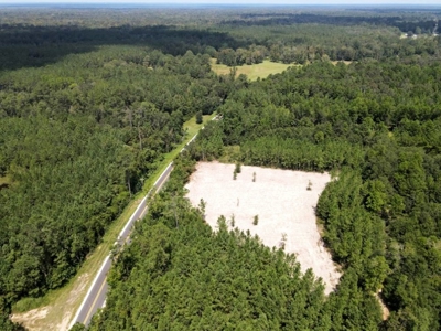 156 Acres Land for Sale in Pearl River County, MS - image 1
