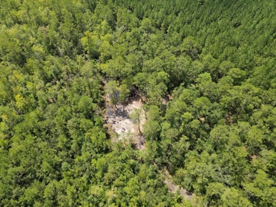 156 Acres Land for Sale in Pearl River County, MS - image 21