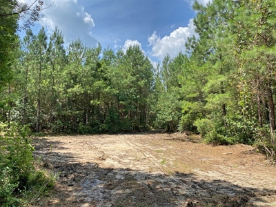 156 Acres Land for Sale in Pearl River County, MS - image 31