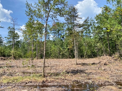 156 Acres Land for Sale in Pearl River County, MS - image 41