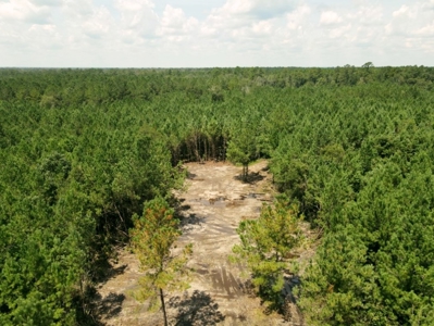 156 Acres Land for Sale in Pearl River County, MS - image 11