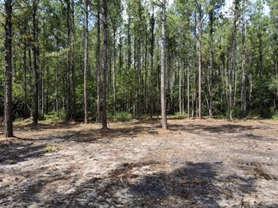156 Acres Land for Sale in Pearl River County, MS - image 14