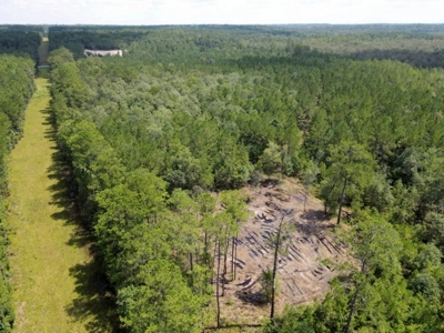 156 Acres Land for Sale in Pearl River County, MS - image 25