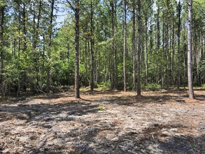156 Acres Land for Sale in Pearl River County, MS - image 15