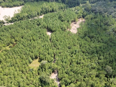 156 Acres Land for Sale in Pearl River County, MS - image 5
