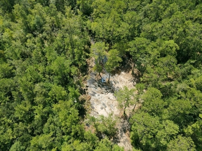 156 Acres Land for Sale in Pearl River County, MS - image 22