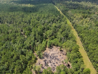 156 Acres Land for Sale in Pearl River County, MS - image 19