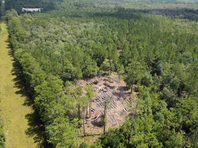 156 Acres Land for Sale in Pearl River County, MS - image 26