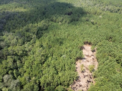 156 Acres Land for Sale in Pearl River County, MS - image 7