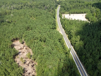 156 Acres Land for Sale in Pearl River County, MS - image 6