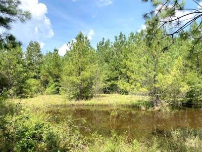 156 Acres Land for Sale in Pearl River County, MS - image 34
