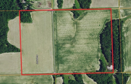 55 Acres Farmland For Sale at Auction - image 1
