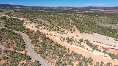 Colorado Land Near Colorado National Monument for Sale - image 1