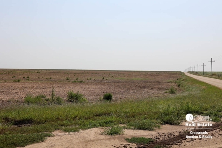 Premium Ottawa County, Kansas Farmland Land Auction - image 2
