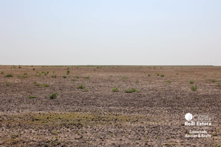 Premium Ottawa County, Kansas Farmland Land Auction - image 1
