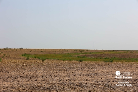 Premium Ottawa County, Kansas Farmland Land Auction - image 4