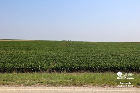 Premium Ottawa County, Kansas Farmland Land Auction - image 8