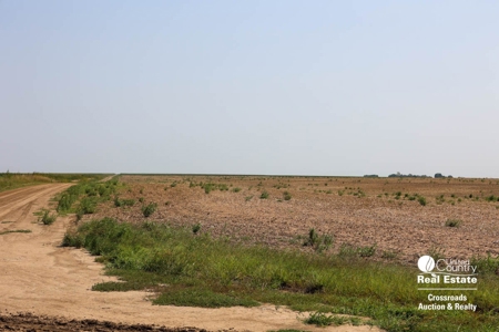 Premium Ottawa County, Kansas Farmland Land Auction - image 3
