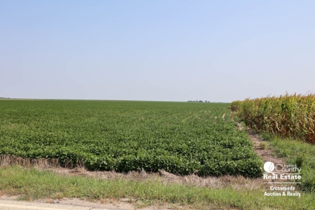 Premium Ottawa County, Kansas Farmland Land Auction - image 9