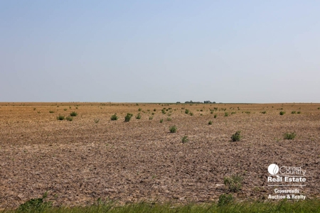 Premium Ottawa County, Kansas Farmland Land Auction - image 5