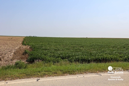 Premium Ottawa County, Kansas Farmland Land Auction - image 7