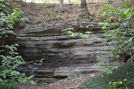 Commercial, Recreational, Cave, Cabins in Southern Missouri - image 23