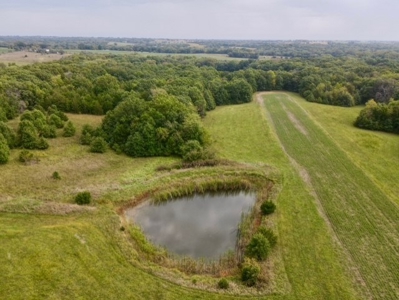 140 Acres For Sale Dekalb County...Hunting, Recreation Ac - image 3
