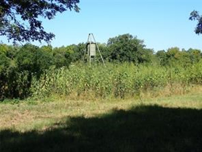 UNDER CONTRACT - Land for Sale Wolfe City, TX - image 9