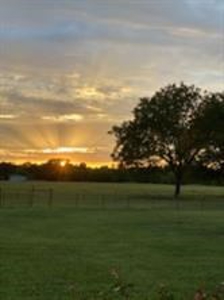 UNDER CONTRACT - Land for Sale Wolfe City, TX - image 16
