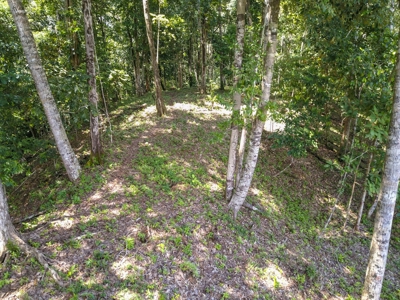 Elevated Coastal Land in Calm Deep Water Bay, Bocas del Toro - image 17