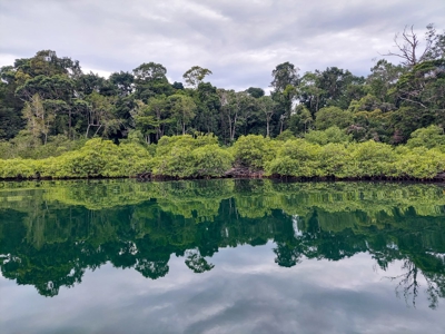 Elevated Coastal Land in Calm Deep Water Bay, Bocas del Toro - image 1