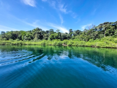 Elevated Coastal Land in Calm Deep Water Bay, Bocas del Toro - image 22