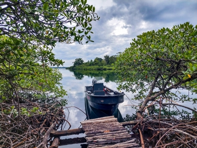 Elevated Coastal Land in Calm Deep Water Bay, Bocas del Toro - image 13