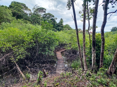 Elevated Coastal Land in Calm Deep Water Bay, Bocas del Toro - image 12