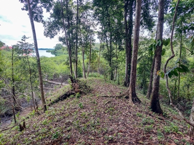 Elevated Coastal Land in Calm Deep Water Bay, Bocas del Toro - image 10